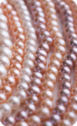 12th year anniversary modern theme - pearls 12th year anniversary modern theme - pearls image