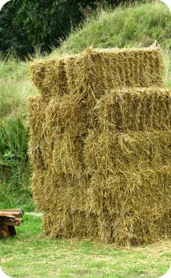 2 year alternate anniversary symbol straw 2 year alternate anniversary symbol straw