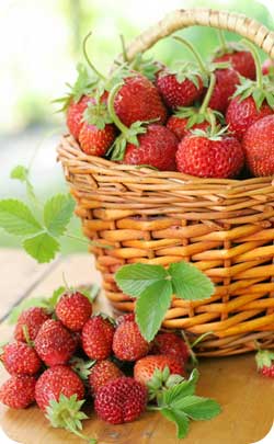 2nd year anniversary strawberries 2 year alternate anniversary symbol strawberries