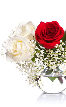 Roses - 15 year anniversary appropriate flower Roses - 15 year anniversary appropriate flower image
